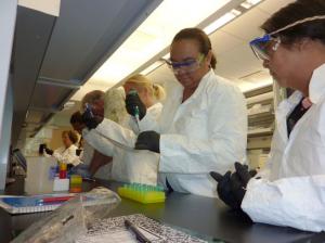 Teachers training in a lab session