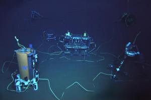 The UH Aloha Cabled Observatory reuses a telecom cable to create the deepest ocean observatory.