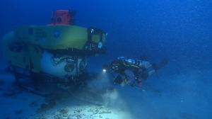 Diver, lead author R Pyle and HURL's submersible explore deep reefs. Credit: Robert K. Whitton 
