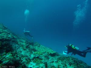 Caldwell and Courtney Couch surveying coral health at Maro Reef. Credit: Chris Wall.